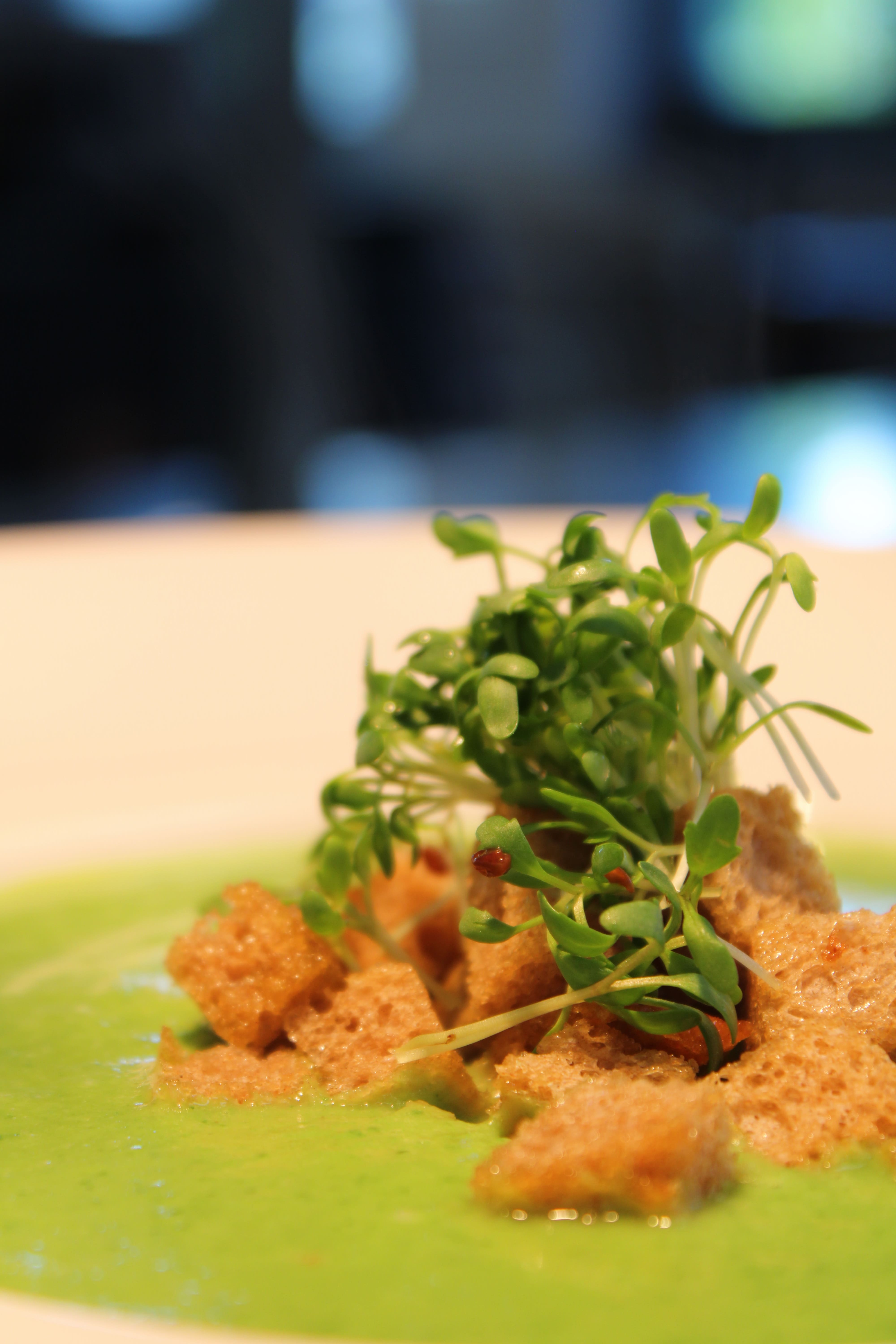 Adalbert und Philipp Pachinger